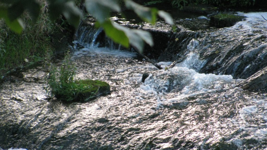 fluss homöopathie wechseljahre naturheilpraxis schüller rheinbach meckenheim euskirchen swisttal bonn